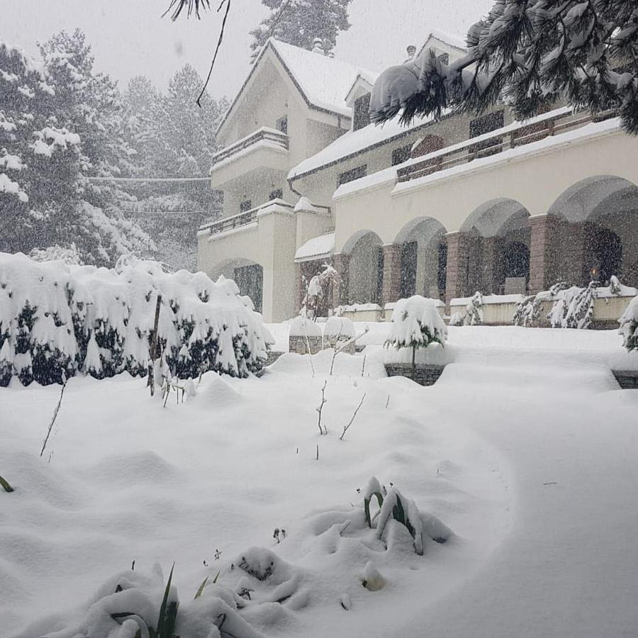 Hotel Alpin Llogara Dukat Extérieur photo