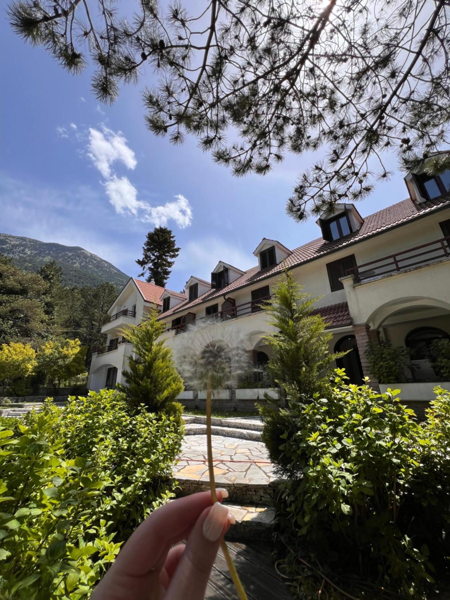 Hotel Alpin Llogara Dukat Extérieur photo