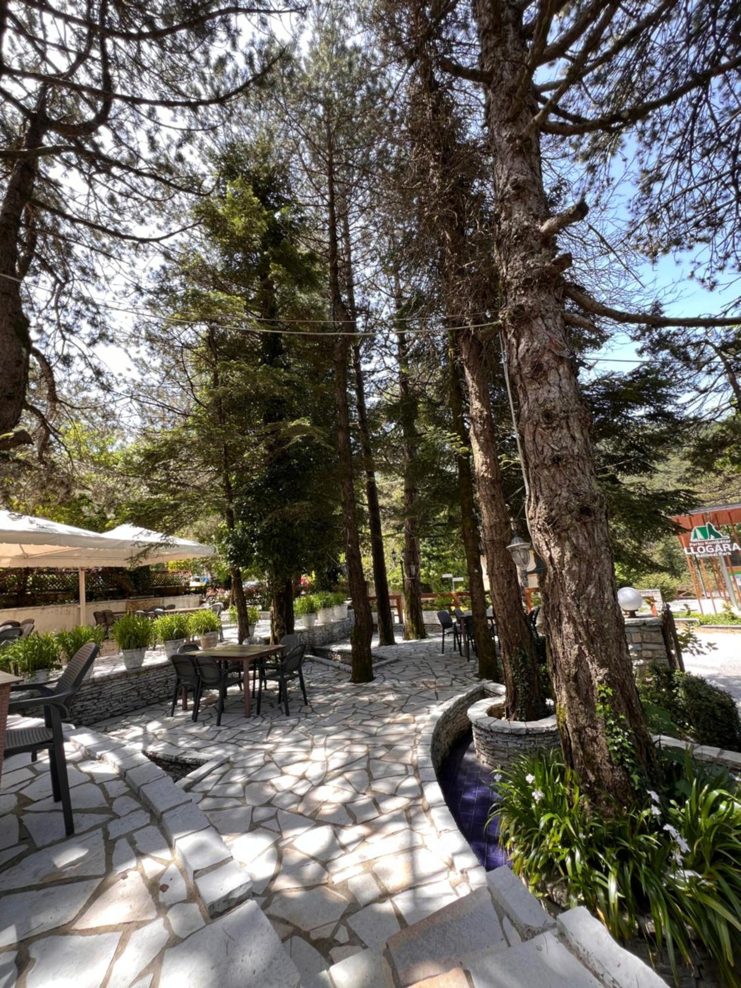 Hotel Alpin Llogara Dukat Extérieur photo